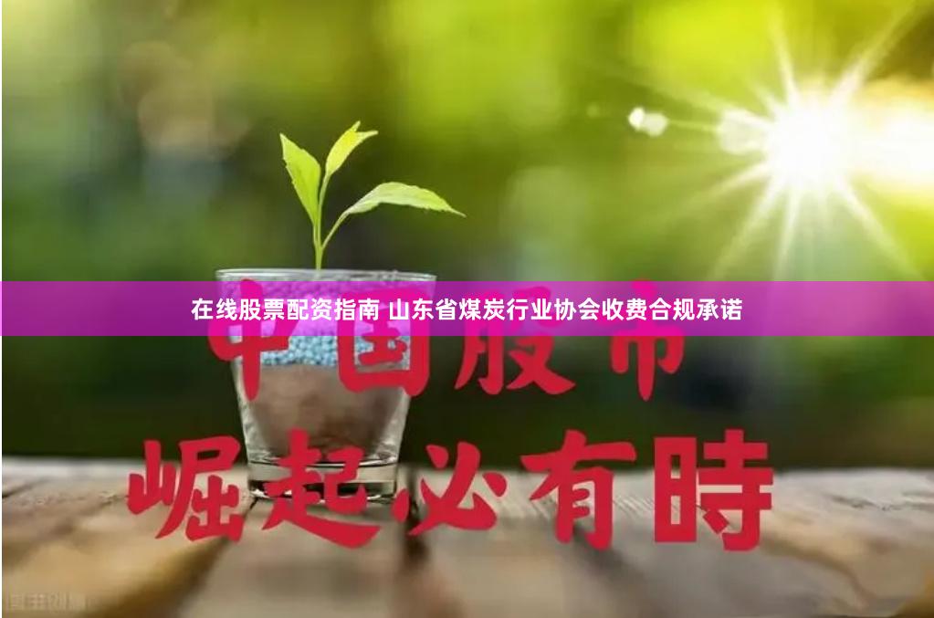 在线股票配资指南 山东省煤炭行业协会收费合规承诺